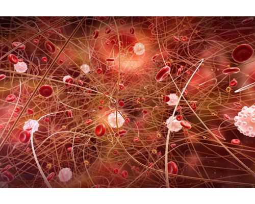 重庆大坪医院介绍(重庆大坪医院可以做试管婴儿吗)