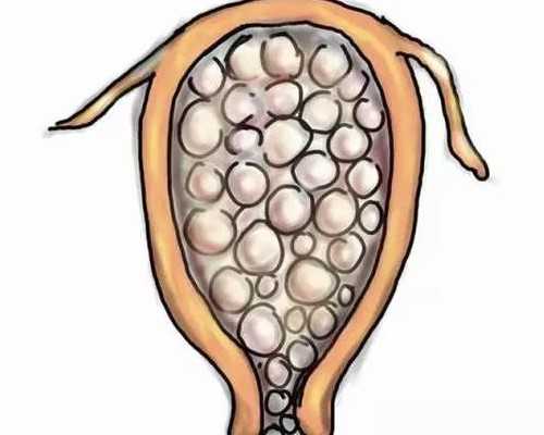 医院查精子自己取精吗