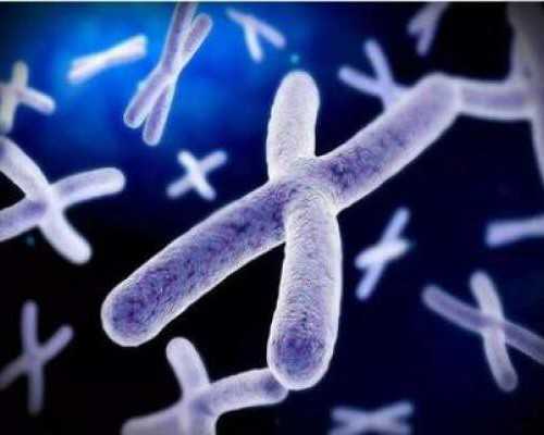 重庆找个农村女人代孕|石家庄白求恩和平医院可以做试管婴儿吗？