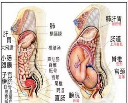 孕妇不能吃什么坚果 孕妇吃哪些坚果对胎儿好
