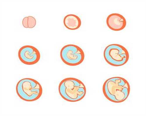 孕前饮食：如何科学补叶酸