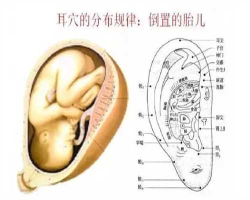 生二胎：孕前身体检查不可懈怠_福州阳光怀孕收