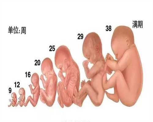 试管曹昆_代孕一个月b超图 代孕一个月胎儿b超图