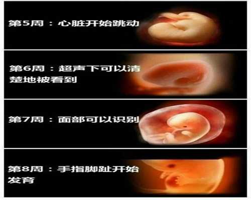 中国代孕机构_正规助孕价格表