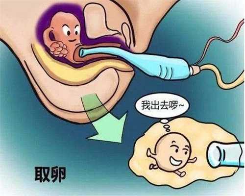 重庆国际助孕中心_重庆供卵试管咨询电话