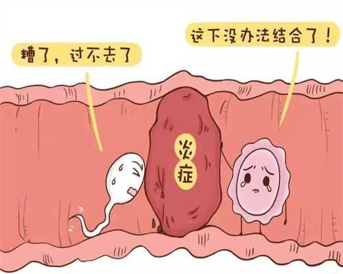 国内代孕公司_重庆供卵交流群