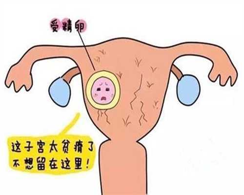重庆助孕中心排名_重庆地下供卵哪家靠谱