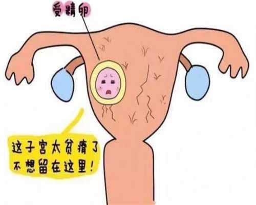 重庆公立医院供卵试管婴儿_推荐的中国助孕机构