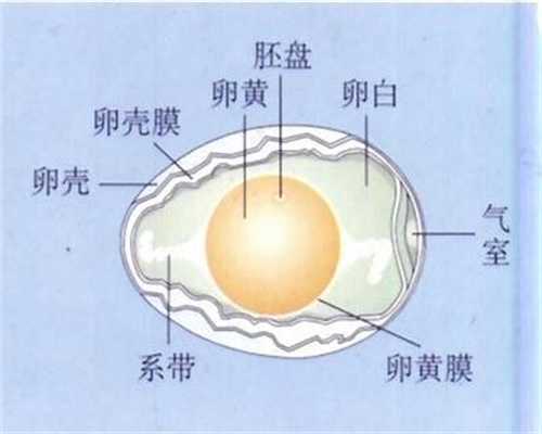 <b>重庆知名助孕公司_国内靠谱代孕机构</b>