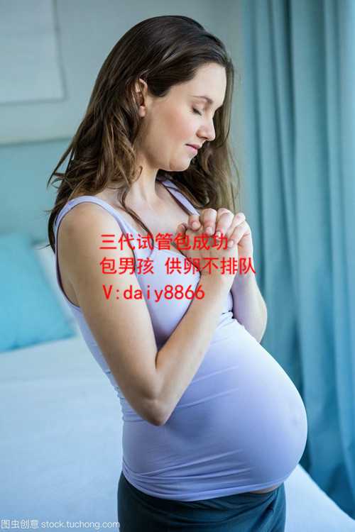 南昌供卵生儿子_上海国妇婴做试管怎么样？试管费用和成功率是多少？