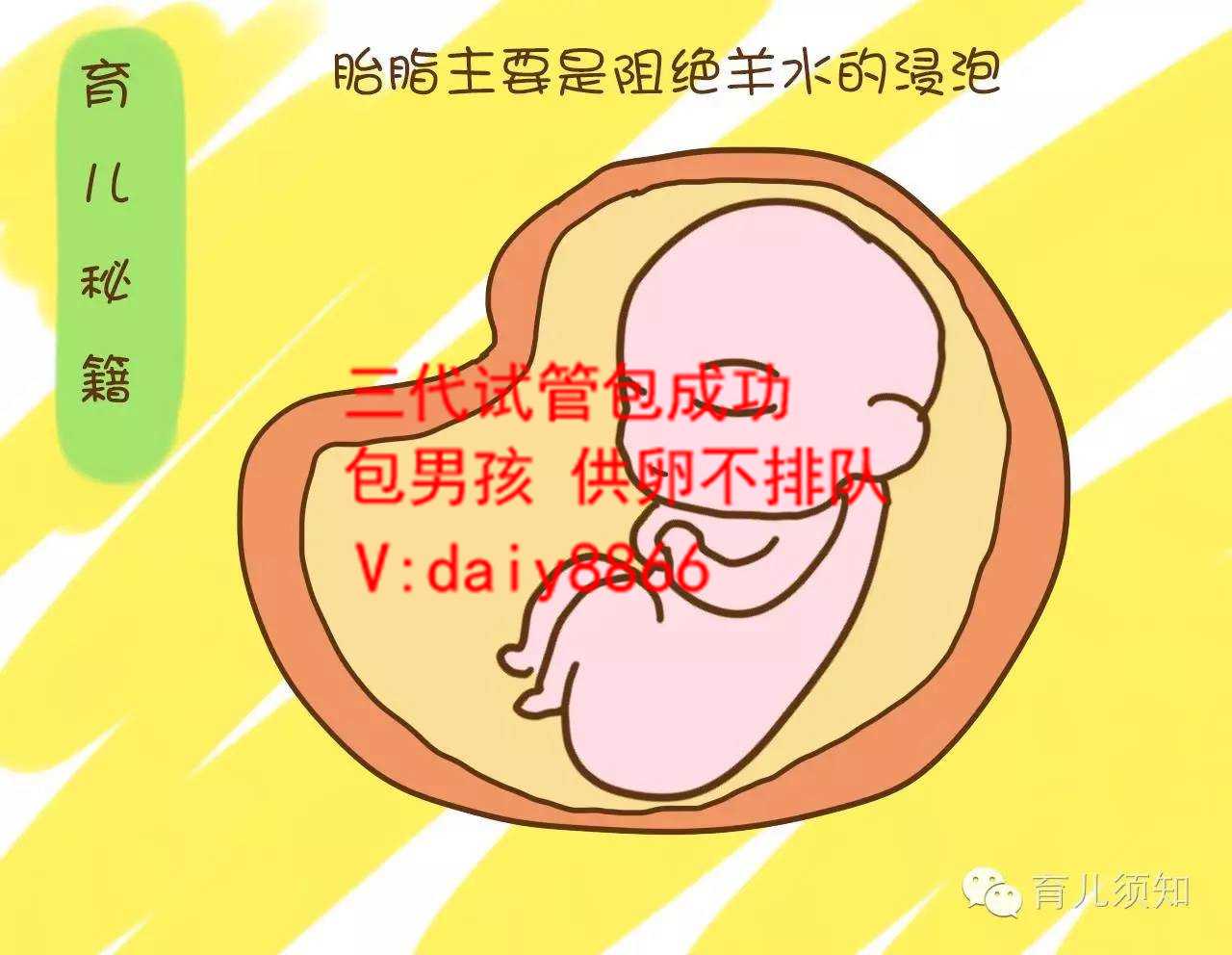 杭州借卵流程_男性无精可以做试管婴儿吗？可以正常当父亲吗？