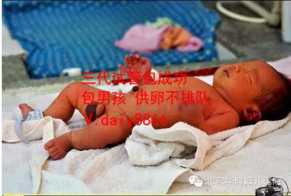 郑州代孕网址_二胎去泰国做试管婴儿，放2个胚胎的成活率高吗？