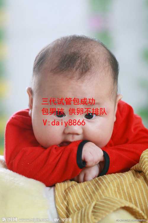 郑州供卵过程_上海国妇婴第三代试管婴儿胚胎筛查多少钱