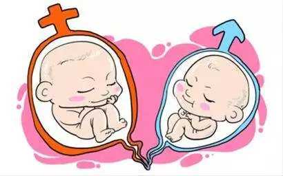 重庆代怀代妈_重庆试管婴儿排名医院有哪些_试管配好的胚胎可以看出男女吗