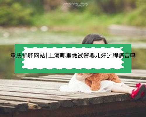 重庆捐卵网站|上海哪里做试管婴儿好过程痛苦吗