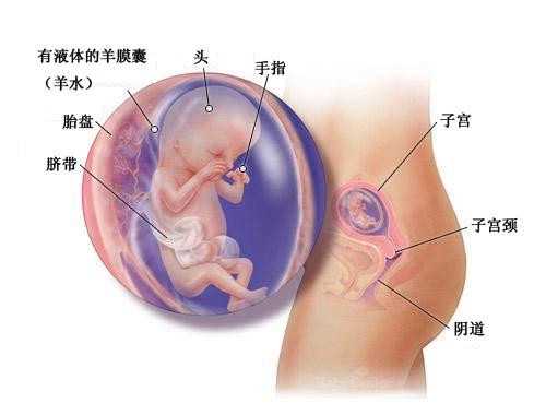 天津地下供卵_试管婴儿适合什么人做？女性有哪些症状需要做试管婴儿？