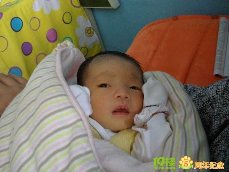 湖北有供卵吗_上海国妇婴一代试管助孕成功率是多少？