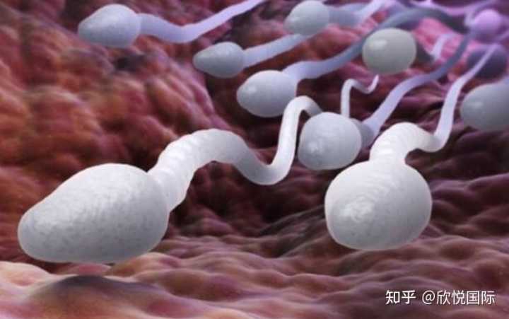 重庆生孩子医院给不给拍视频,重庆妇幼试管三代是否需要女性医生？